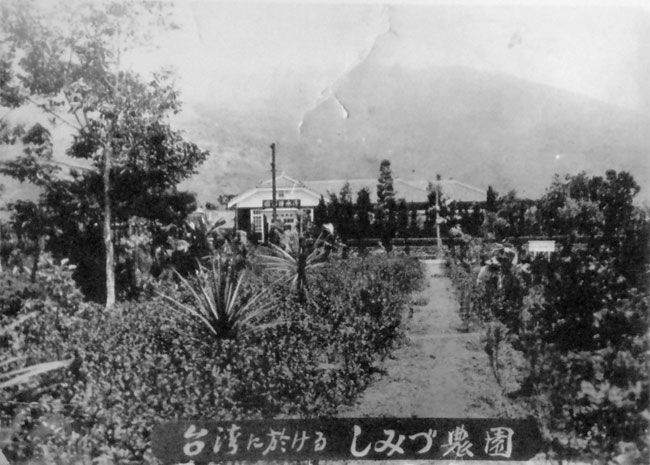 しみづ農園の歴史