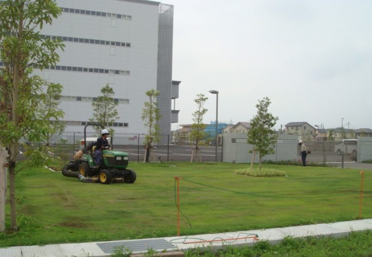 工場緑地　管理メンテナンス（樹木剪定/芝刈り/施肥/目土/薬剤散布）